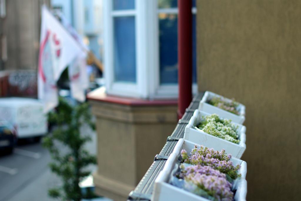 Sisters Lodge Hostel Сопот Екстериор снимка